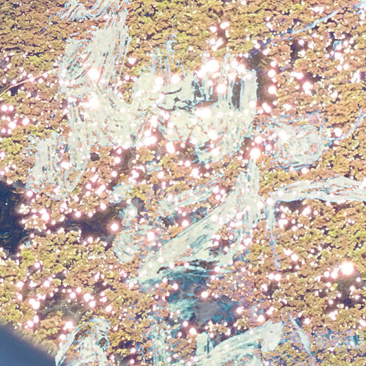 Concave Reflection - The Best People Are Like Water CS