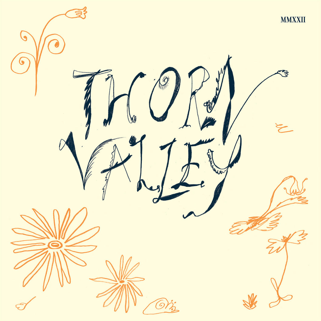 Various - Thorn Valley 2LP