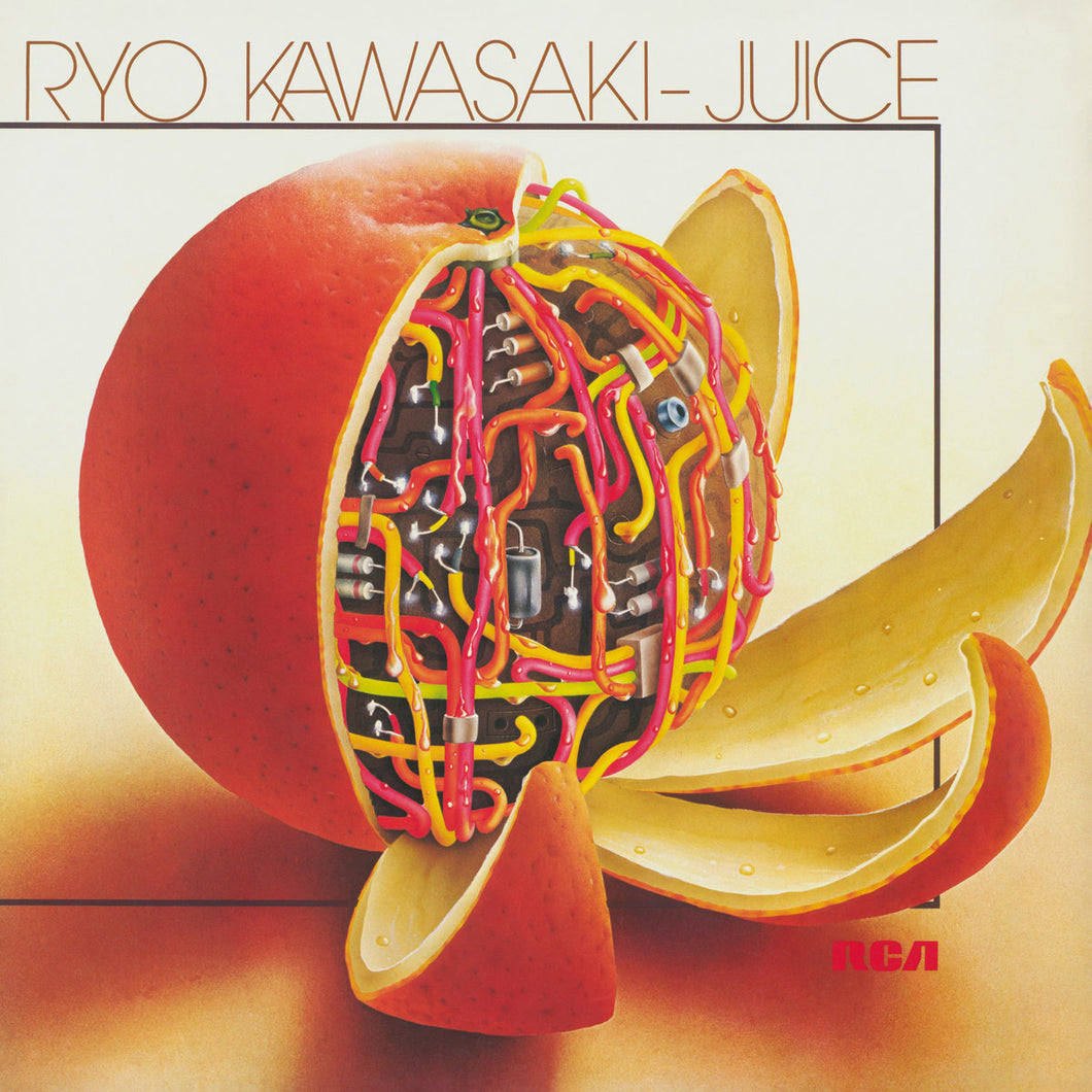Ryo Kawasaki - Juice LP