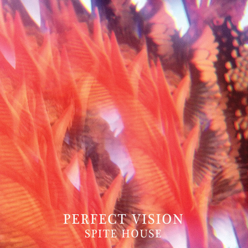 Spite House - Perfect Vision 7