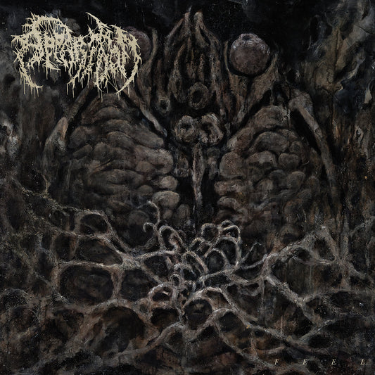 Apparition - Feel LP