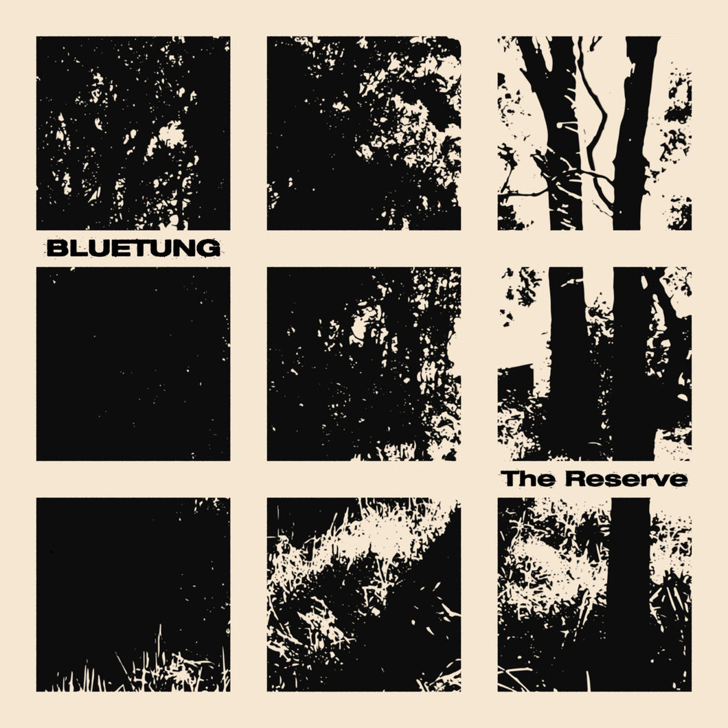 Bluetung - The Reserve CS