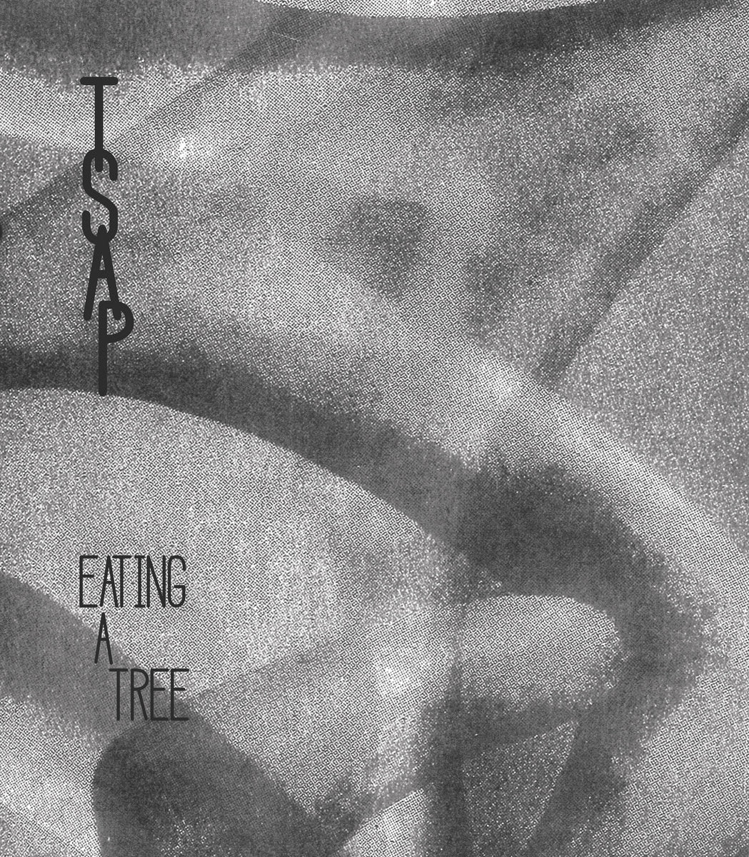 TSAP - Eating A Tree CS