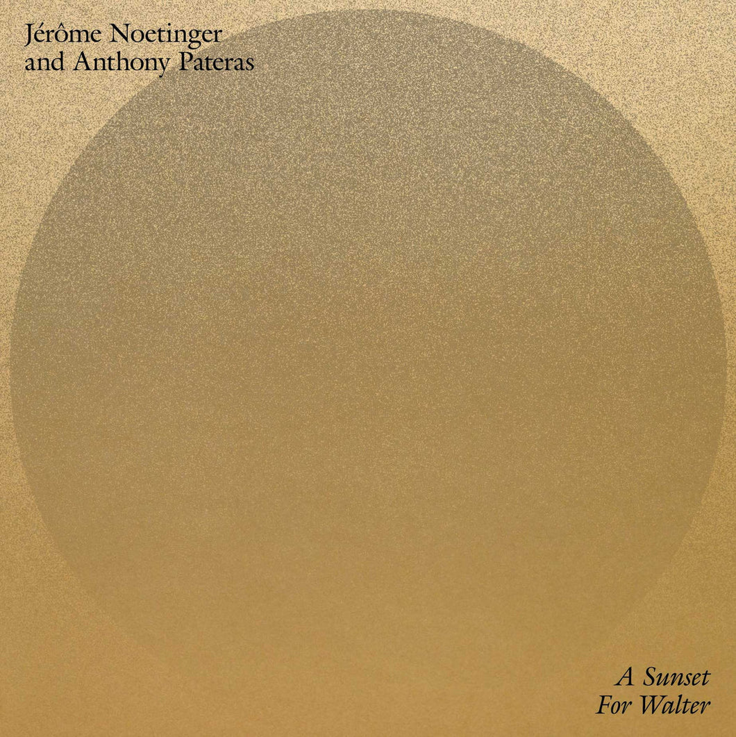 Jerome Noetinger And Anthony Pateras - A Sunset For Walter LP