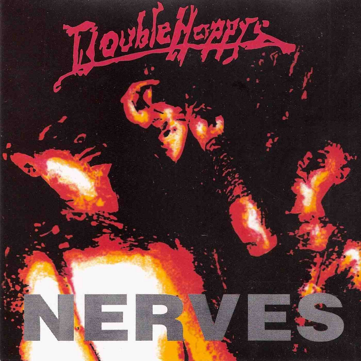 Doublehappys - Nerves LP