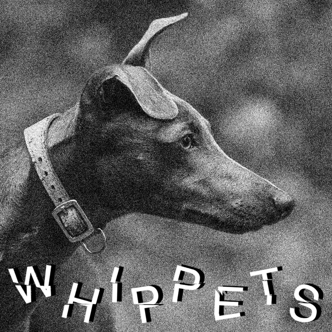 Whippets - Whippets 7
