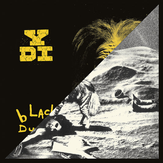 YDI - A Place In The Sun / Black Dust 2LP