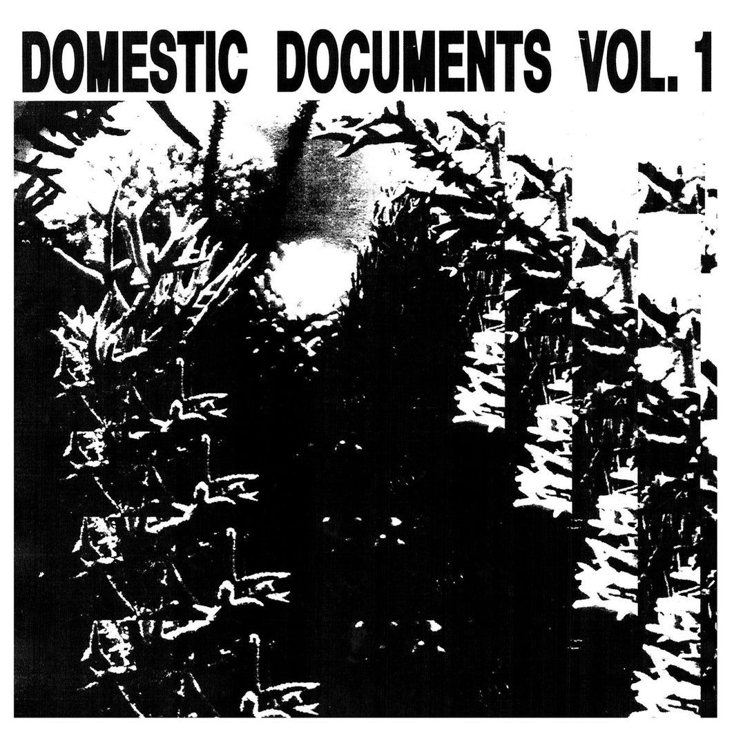 Various - Domestic Documents Vol. 1 2LP