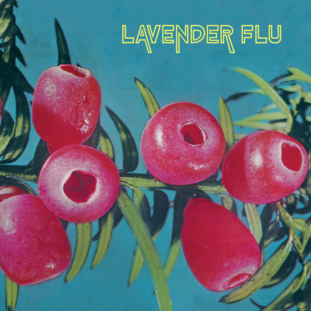 Lavender Flu - Mow The Glass LP