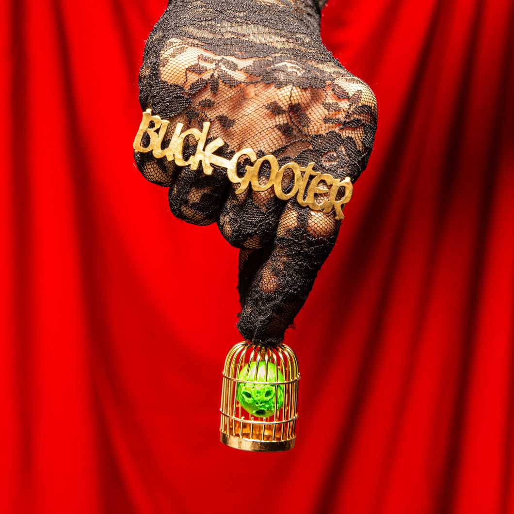 Buck Gooter -  Head In A Bird Cage LP