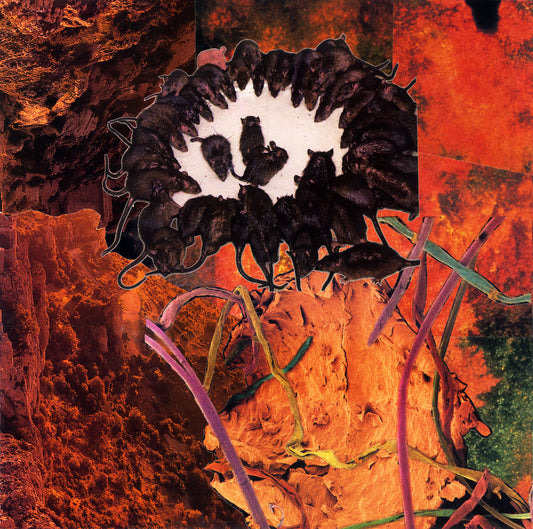 El-g - Tout Ploie LP