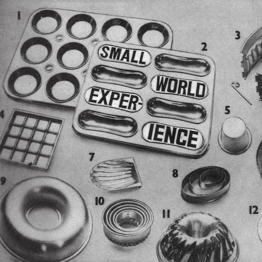 Small World Experience - Shelf-Life LP