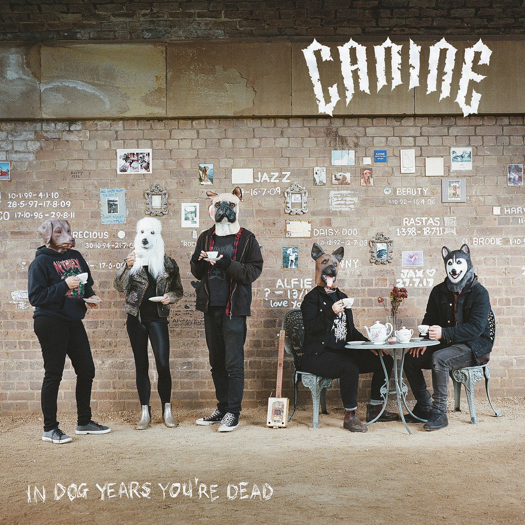 Canine - In Dog Years You're Dead LP