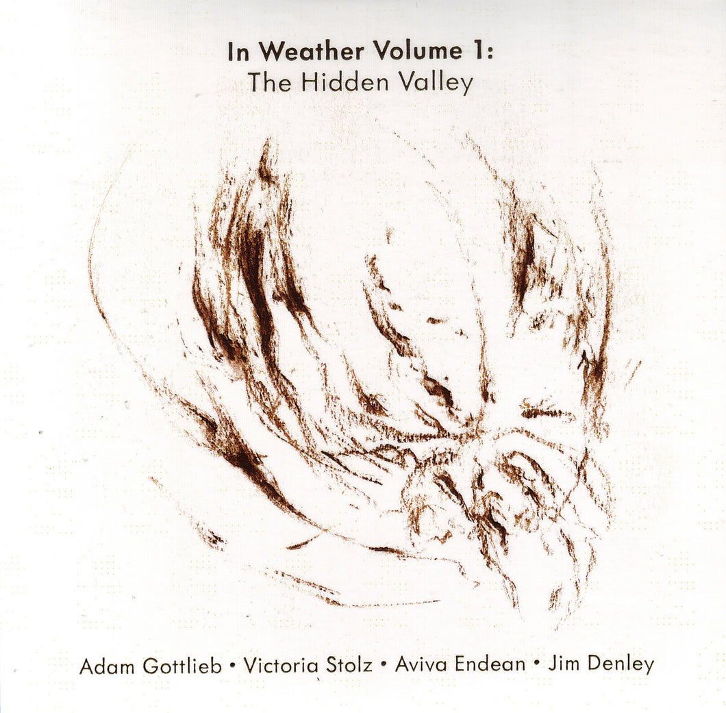 Jim Denley, Aviva Endean, Adam Gottlieb, Victoria Stolz - In Weather Volume 1: The Hidden Valley LP