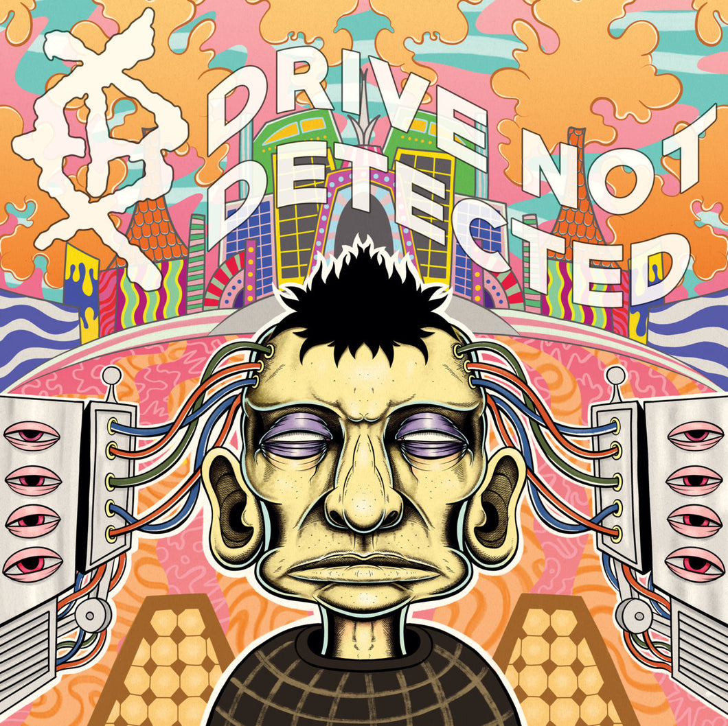 Endless Bore - Drive Not Detected LP