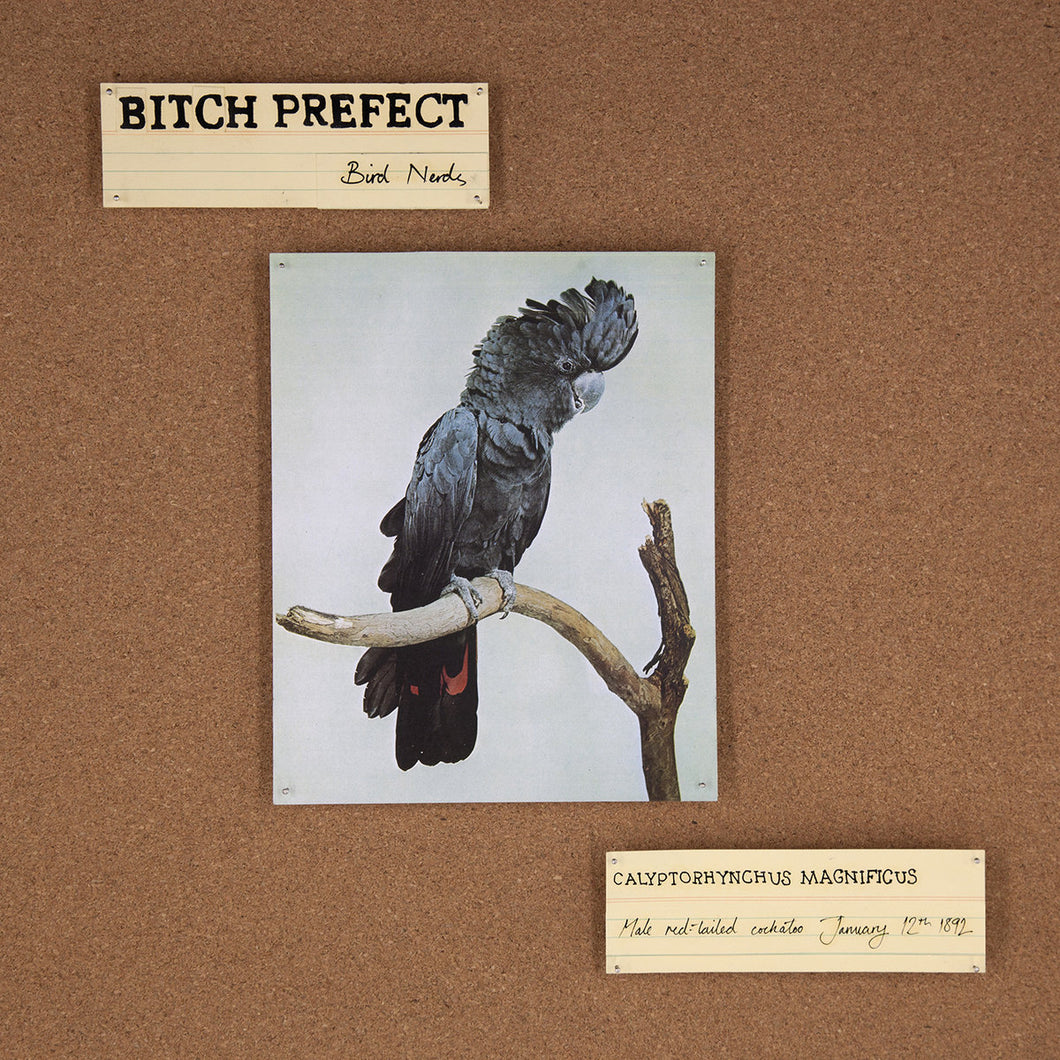 Bitch Prefect - Bird Nerds LP