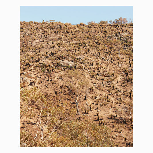 Andrew Pekler & Giuseppe Ielasi - Palimpsests LP