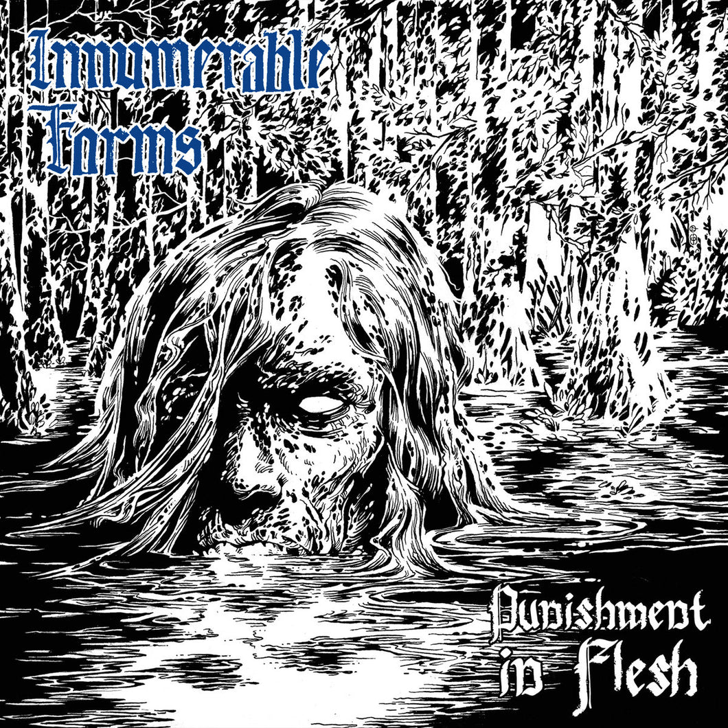 Innumerable Forms - Punishment In Flesh CD