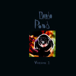 Bardo Pond - Volume 1 LP