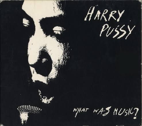 Harry Pussy - What Was Music? CD