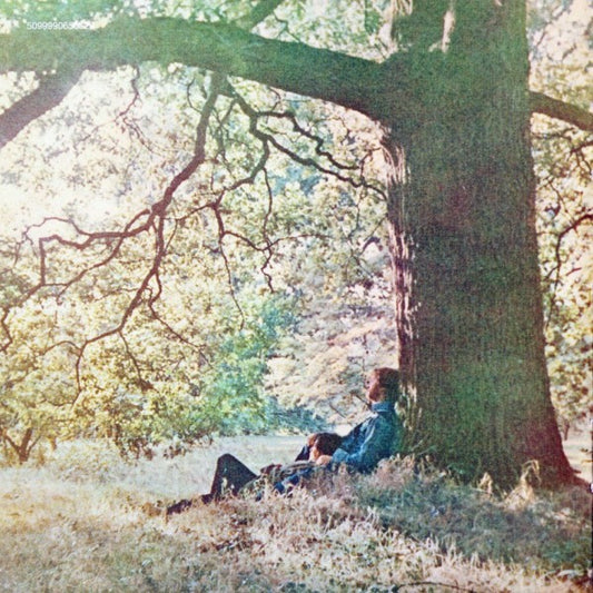 Yoko Ono - Plastic Ono Band LP
